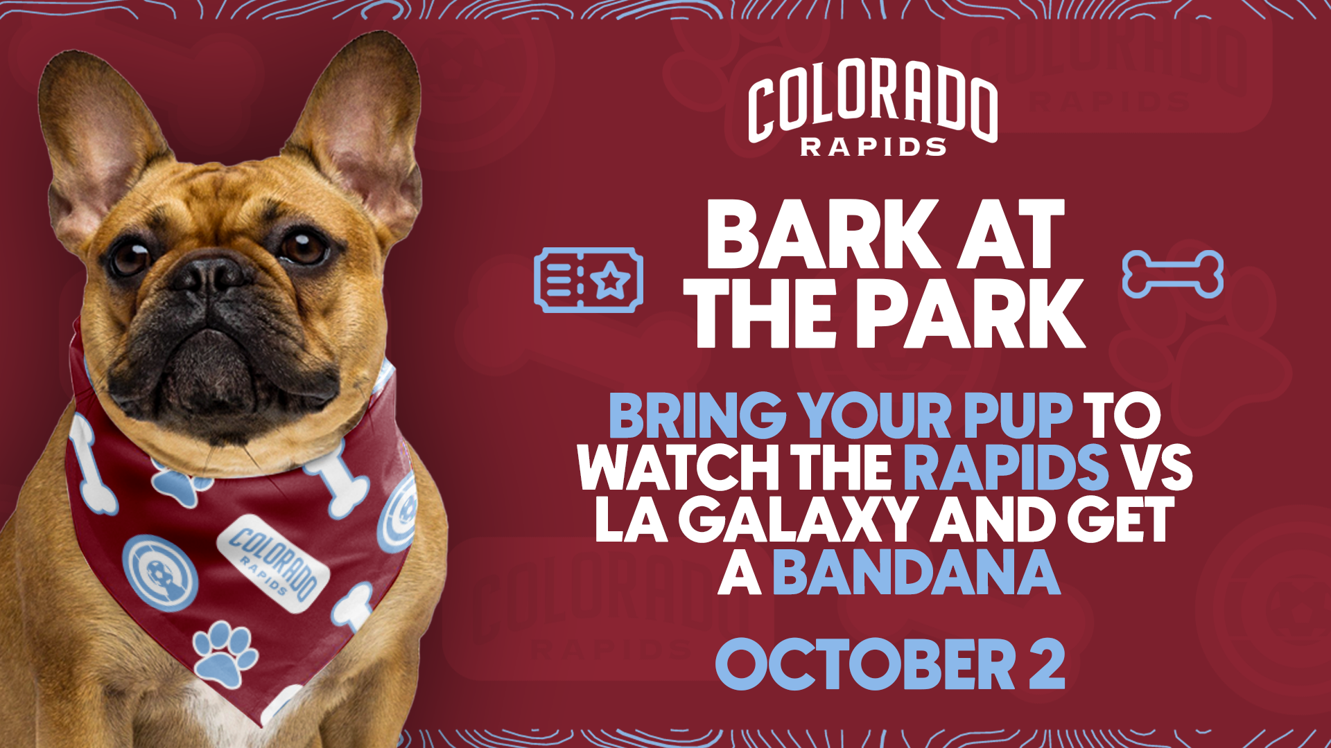  Bark at the Park! 